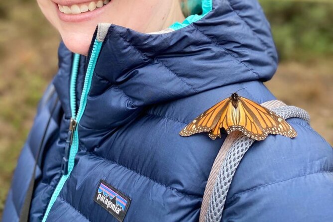 Monarch Butterfly Tour Mexico: Sierra Chuincua and Magic Town - Key things to know before you go