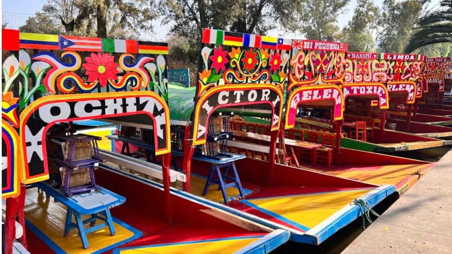 Music and Tequila in Xochimilco visits Coyoacán and CU - Coyoacán on Foot: squares, markets, and the Frida Kahlo exterior