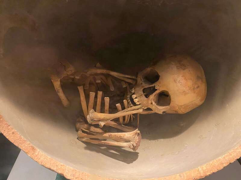 National Museum of Anthropology: a journey into Mexico's past - English lang. - Meet Hector and get oriented like a student, not a tourist
