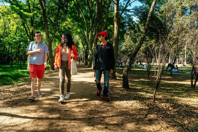 Off the Beaten Track in Mexico City: Private City Tour - Getting started: the meeting point near Av. Universidad