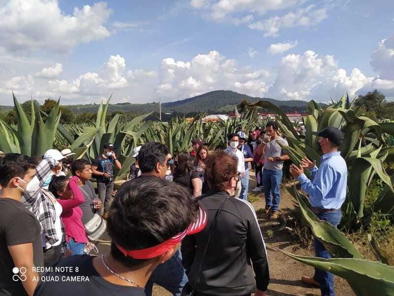 One day tour from Mexico City to Firefly Sanctuary - What the guided tour at night feels like (and why it’s worth the rules)