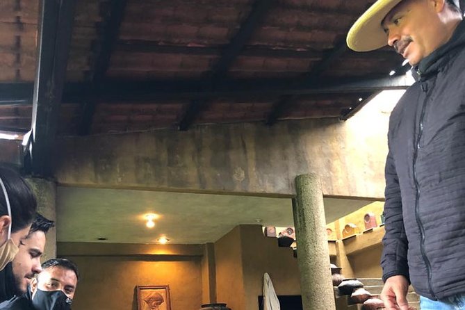 Pátzcuaro & Michoacán Villages : 3 - Day Private Cultural Tour - Who should book this tour, and who should skip it