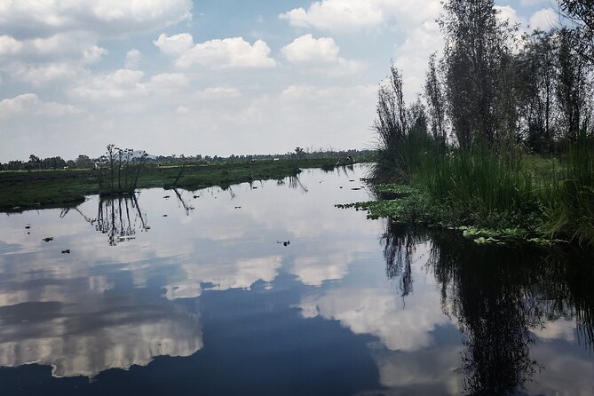 Pre-Hispanic Xochimilco, local food included and ajolotario. - Cuahilama Hill: glyphs, ceremony, and Mexico City views