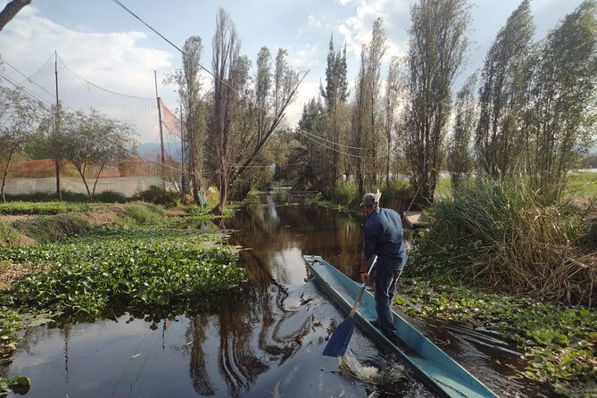 Pre-Hispanic Xochimilco, local food included and ajolotario. - Xochimilco town’s San Bernardino de Siena church: a quick, meaningful pause