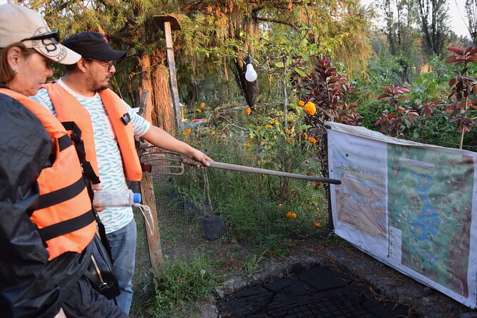 Prehispanic Xochimilco: Market, chinampas, axolotls kids friendly - Chinampas on a floating island: the cultivation story you can actually picture