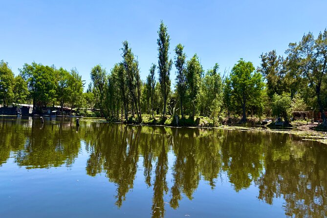 Prehispanic Xochimilco: Market, chinampas, axolotls kids friendly - Axolotls on a floating island: a kid-friendly wildlife moment