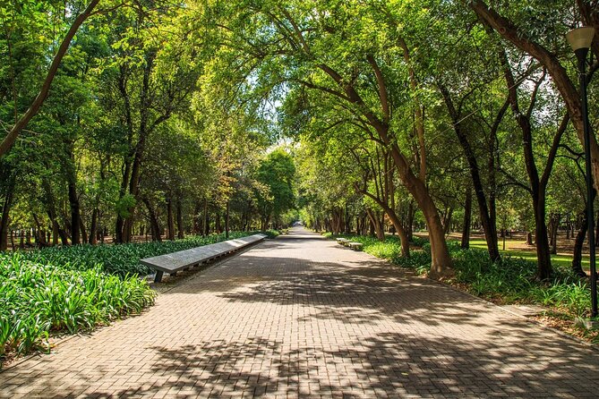 Private Chapultepec Park by Bike Guided Tour - Fuente de la Templanza and Calzada de los Poetas: Symbolic Art You Can Walk Away With