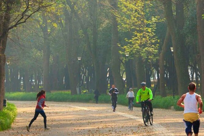 Private Chapultepec Park by Bike Guided Tour - Moctezuma’s Baths: Water Engineering and Daily Life in the 15th Century