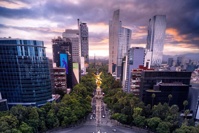 Private Contrasts of Mexico City Neighborhoods Tour - Financial and Economic District: Offices, Universities, and Hotels