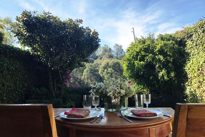 Private Mexican Cooking Class with Gastronomic Historian, Lucia - Who this is best for (and who might want a different plan)