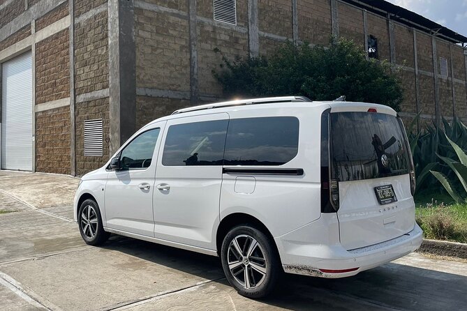 Private Round-Trip Transportation to Teotihuacan Pyramids - What kind of traveler this suits best