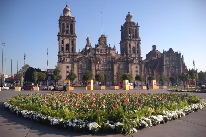Private Tour of Mexico City with Anthropology - Zócalo to the Cathedral: quick stops that still land the meaning