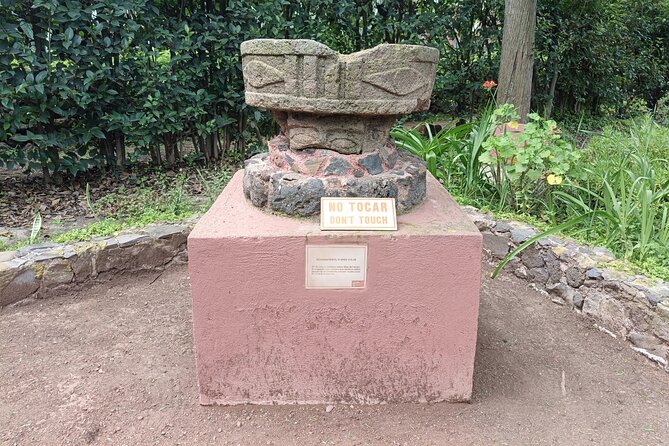 Private Tour, Teotihuacan, Basilica of Guadalupe. - Private transportation and pickup: why the logistics feel easier than most
