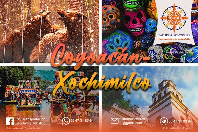 Private Tour to Coyoacán & Xochimilco. - The Azteca Stadium panoramic view: quick detour, big energy