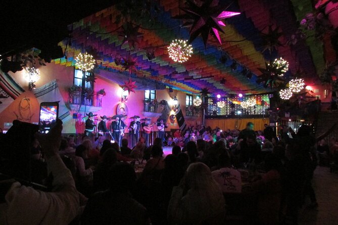 Private Tour to Garibaldi Square - Who Should Book This Private Garibaldi Night Tour?