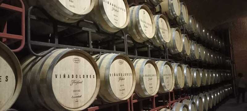 Private tour to Peña de Bernal & Freixenet Winery from CDMX - Key Things I’d Highlight Before You Go