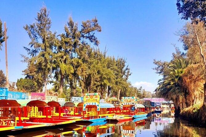 Private Tour to Xochimilco, Coyoacan and the World of Frida Kahlo - Floating Gardens on a trajinera: what the 1-hour canal time really gives you