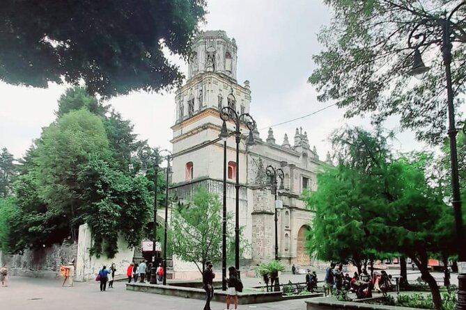 Private Tour to Xochimilco, Coyoacan and the World of Frida Kahlo - Museo Frida Kahlo and the Blue House: how to get the most from your ticketed time