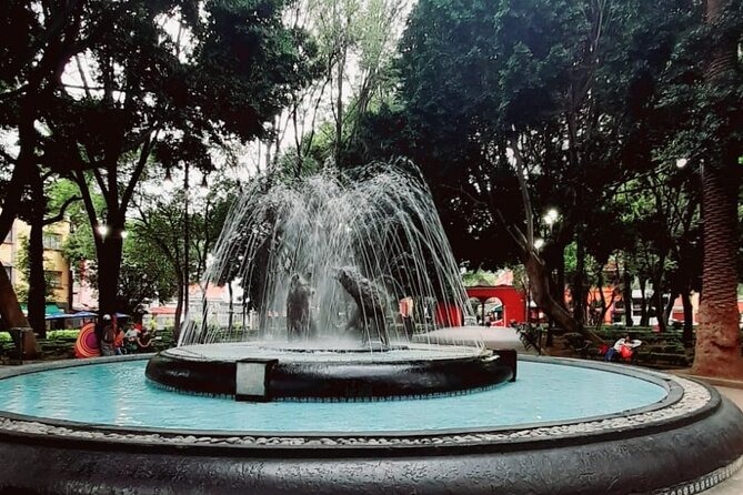 Private Tour to Xochimilco, Coyoacan and the World of Frida Kahlo - Price and value: what you’re really paying for at about $226.88