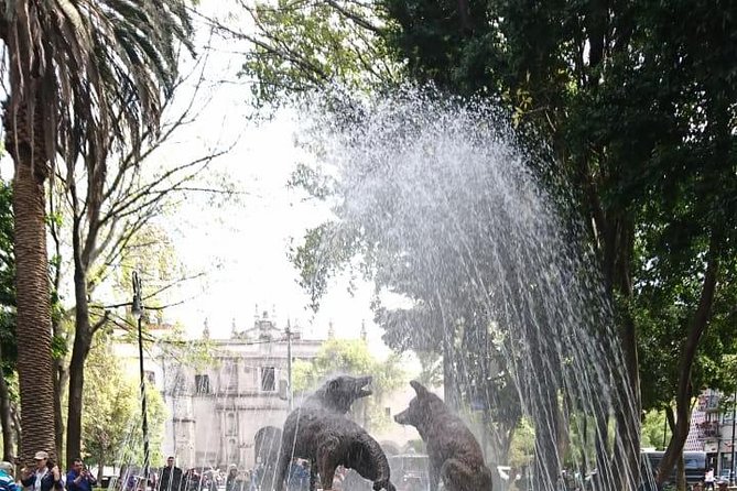 Private Tour: Xochimilco, Coyoacan and Frida Kahlo Museum - The Real Secret Sauce: Guides and Drivers Who Adjust to You