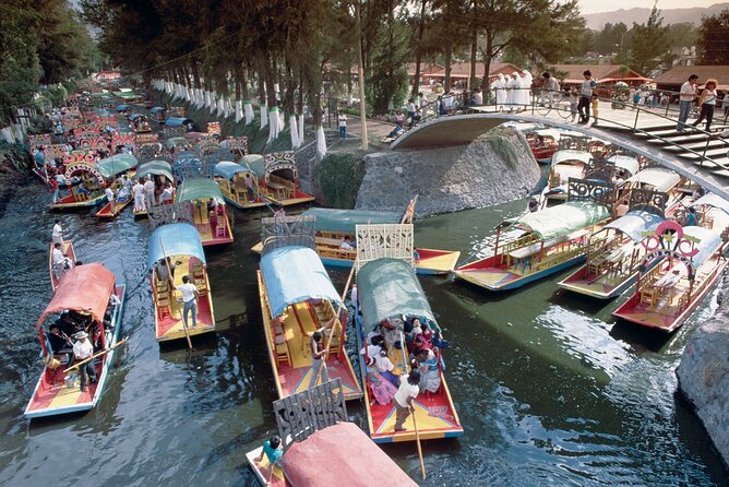 Private Tour: Xochimilco Coyoacan and Frida Kahlo's Museum and house - UNAM Biblioteca Central: a quick UNESCO-level art start