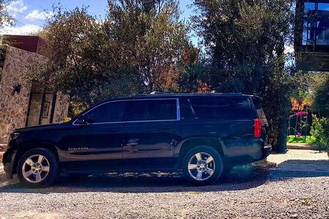 Private Transfer from the Airport to Hotels in Mexico City - What you gain by skipping taxis: private, air-conditioned, and luggage-friendly