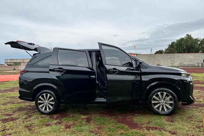 Private Transportation to Teotihuacan from CDMX - Where You Start at Teotihuacan: Balloon Port, Gate, or a Restaurant Stop