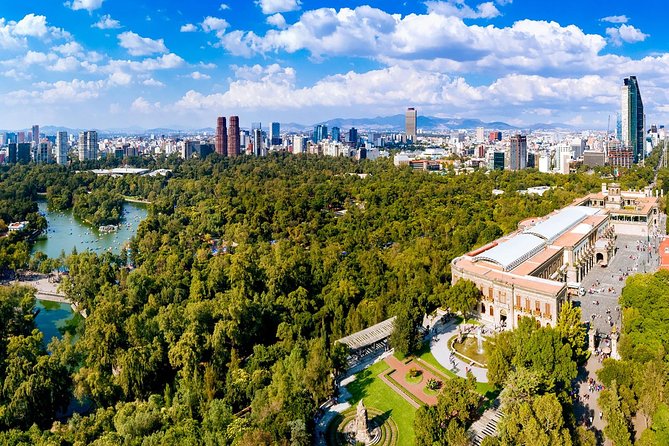 Private Walking Tour Anthropology Museum & Chapultepec Castle - Teotihuacan, Mexica, and Mayan rooms: you get the big themes, not just objects