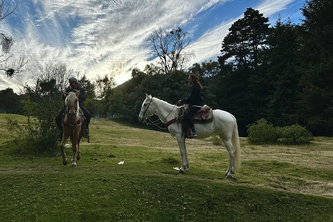 Ride Horses, Learn to Cook with Locals in Mexico City - The mountain cabin cooking class: tortillas, sopes, tlacoyos, and sauces