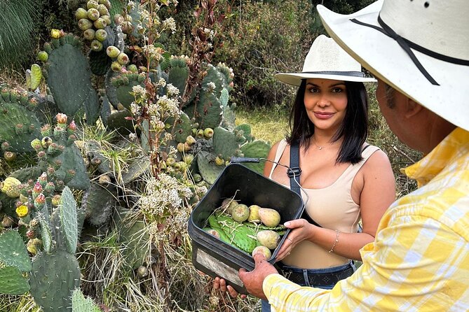 Ride Horses, Learn to Cook with Locals in Mexico City - Practical tips to make the day smoother on a horse