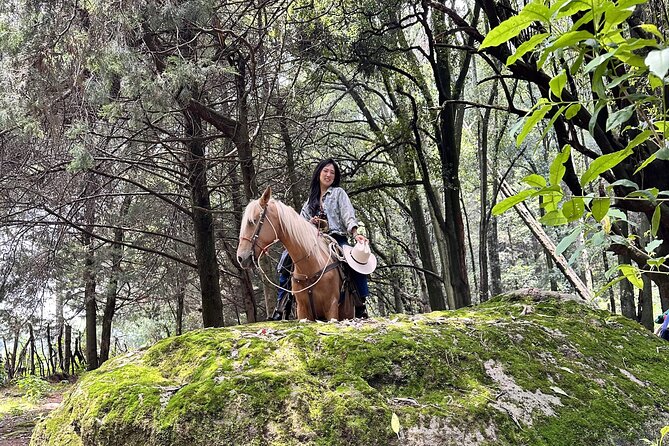 Ride Horses, Learn to Cook with Locals in Mexico City - Price and value: what you’re paying for (without the sticker shock)