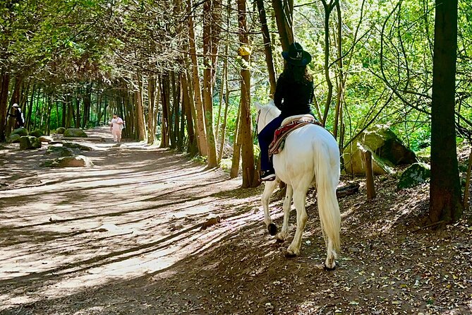 Ride Horses, Learn to Cook with Locals in Mexico City - The ride route: alleys, trails, river crossing, and mountain views
