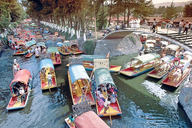 Small Group: Discover Xochimilco, Coyoacán, Frida Kahlo Museum and House - A Guided Day Through Xochimilco and Frida’s Blue House