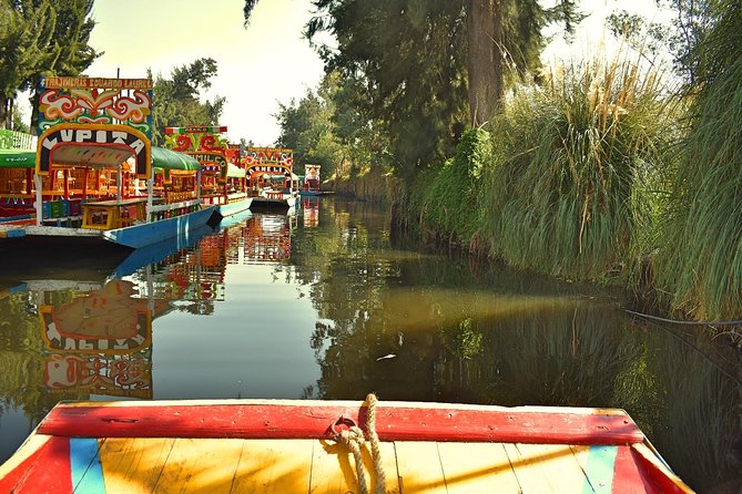 Small Group: Discover Xochimilco, Coyoacán, Frida Kahlo Museum and House - Frida Kahlo Museum: Getting In, Then Surviving the Crowd Reality