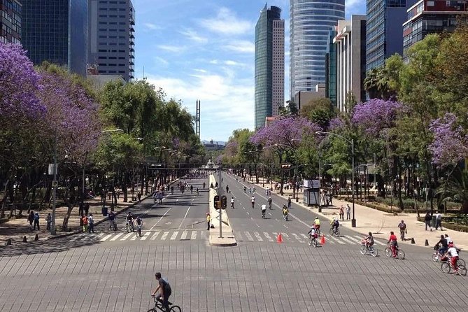 Small VIP Group: The Ultimate Mexico City Tour - Price and value: what you’re actually paying for