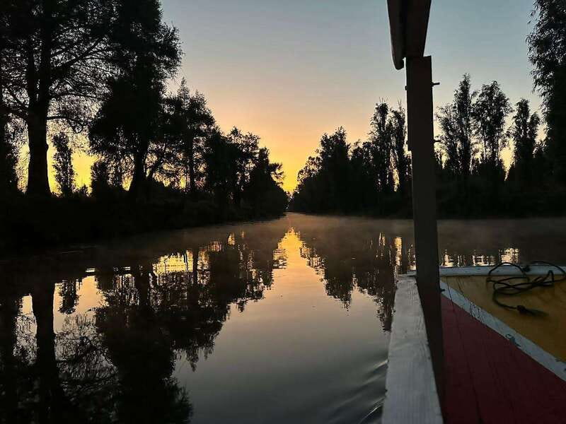 Sunrise in Xochimilco - Twilight on a trajinera: hot coffee and that quiet canal soundtrack