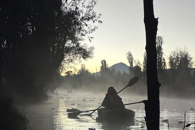Sunrise Kayak Tour in Xochimilco - The kayak portion: dark paddling, single or shared kayaks