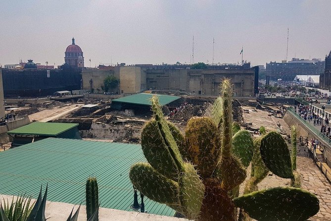 Templo Mayor Museum Semi Private Walking Tour in Mexico City Downtown - The semi private setup: more questions, less line drama