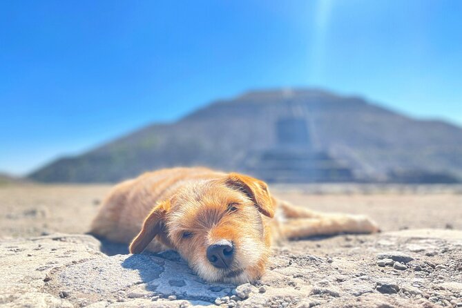 Teotihuacan and My Grandma's Food Tour - Getting back to Mexico City: timing that feels like a full day, not an ordeal