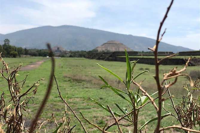 Teotihuacan & Basilica of Guadalupe - Private Tour - Price and Value: When $140 Per Person Feels Fair