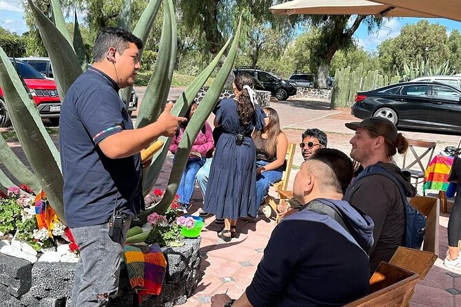 Teotihuacan Express with pick-up in Mexico City - Pyramids in real life: what 2 hours feels like