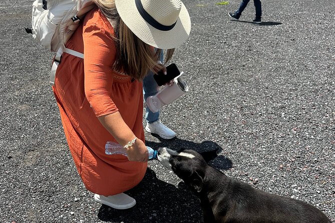 Teotihuacan Sunrise Tour from Mexico City - Barrio Walks and Murals: Seeing Daily Life Around the Ruins