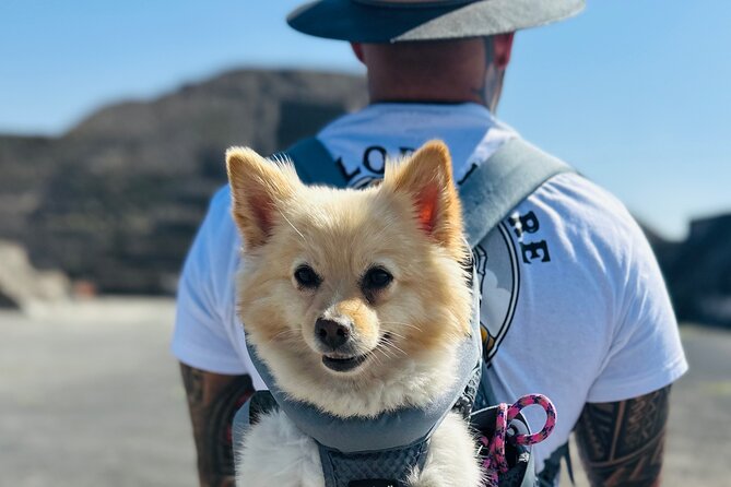 Teotihuacan Sunrise Tour from Mexico City - Food, Photos, and Comfort: Making the 5-Hour Morning Work