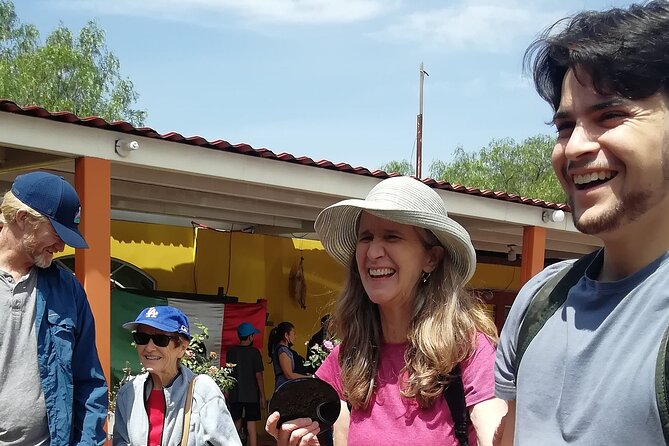 Teotihuacan: The myth of the gods + secret murals (New route) - Cochineal and plant pigments: the color lesson that sticks