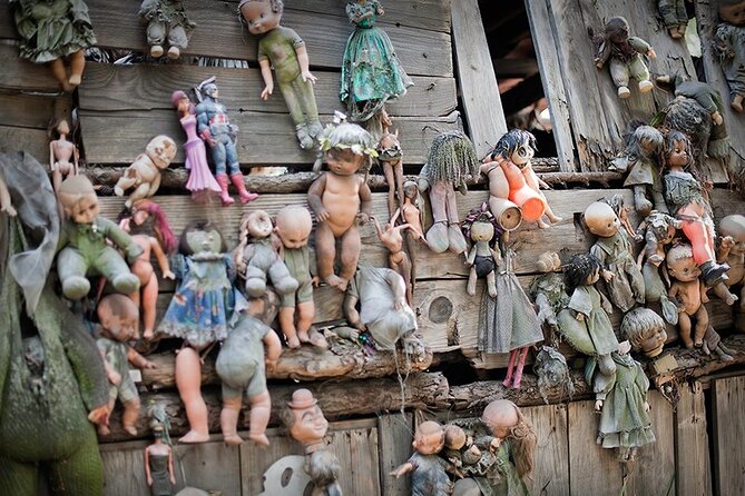 The best walk in Xochimilco - Serpentarium and Ajolotario: The Optional Stops That Can Change the Day
