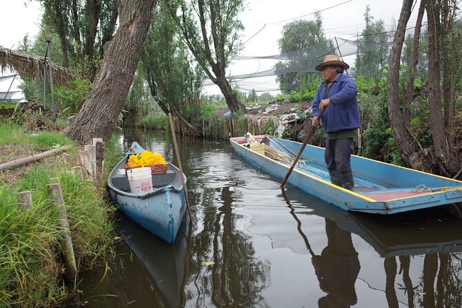 The City Green Exploring the Urban Eco Reserve of Xochimilco - A stop with deep roots: older Xochimilco sights en route