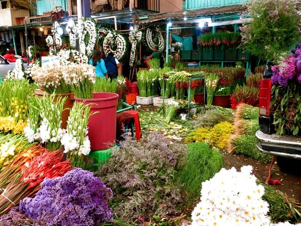 Tortilla Crawl: Food Tour in Mexico City - Key highlights you will feel fast
