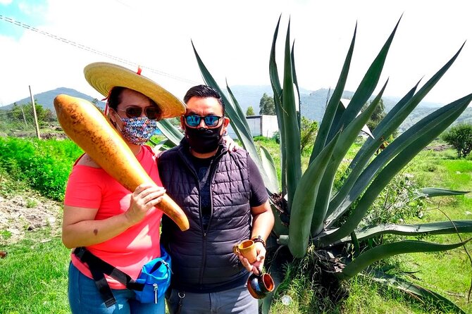 Tour de Pulque en Tepotzotlán, Pueblo Mágico - Key highlights to know before you go