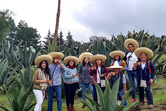 Tour de Pulque en Tepotzotlán, Pueblo Mágico - Price and value: what $134.25 buys you