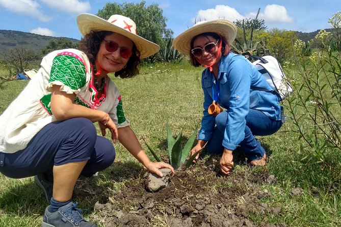 Tour de Pulque en Tepotzotlán, Pueblo Mágico - Who this tour is best for (and who should think twice)